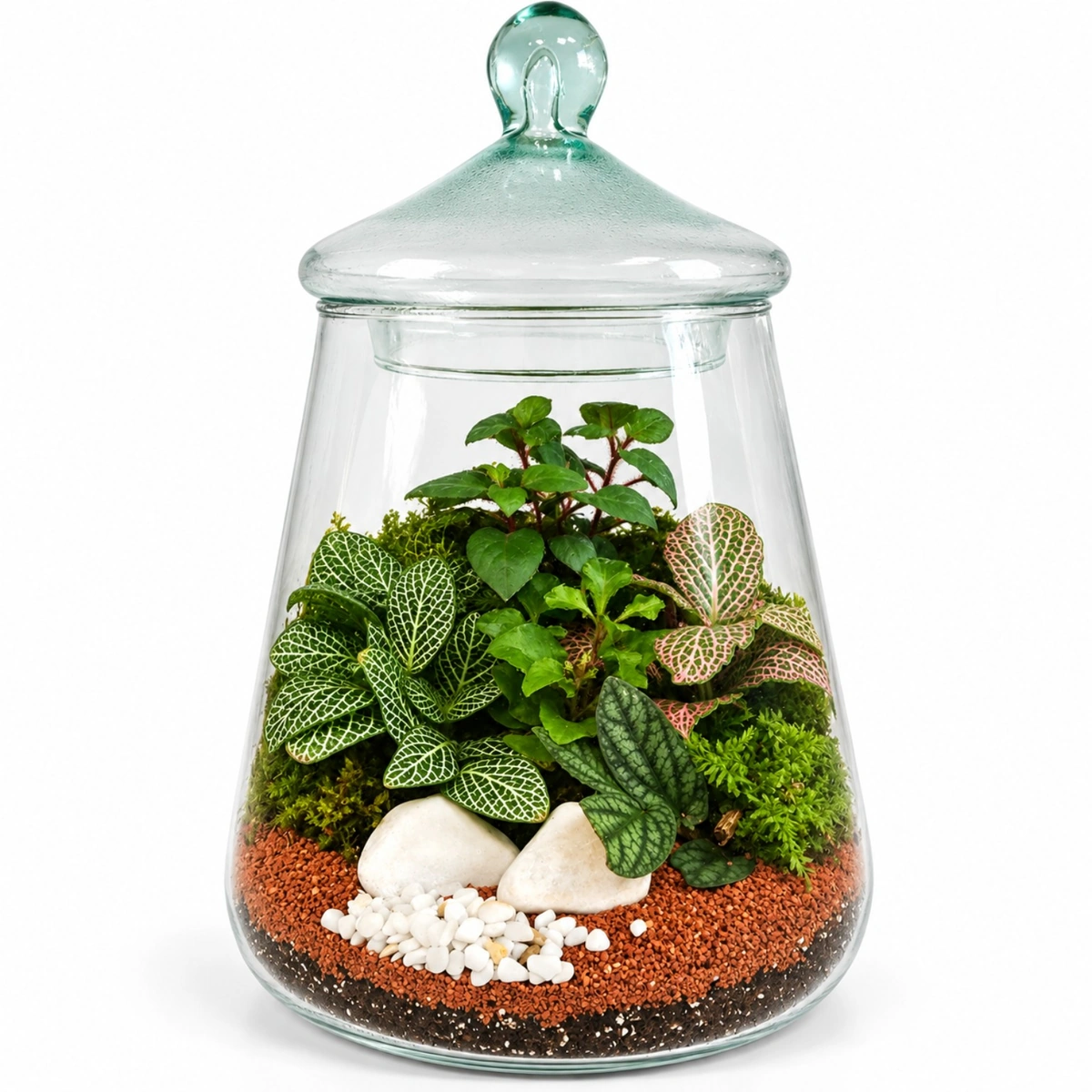 terrarium_02_web_1x1_under300kb تراریم درب شیشه ای کد401 - تصویر 1