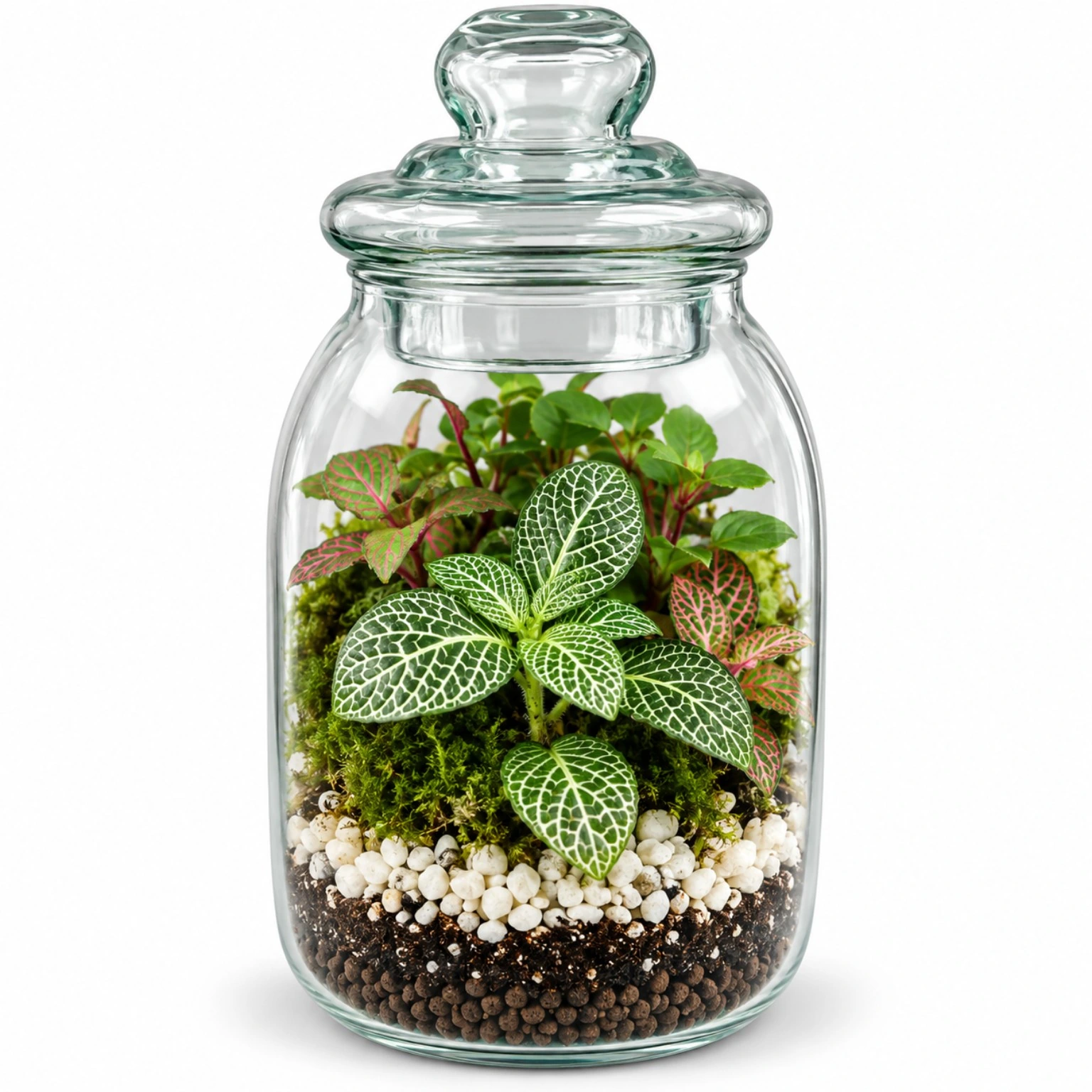 terrarium_1x1_under_300kb تراریم درب شیشه ای - تصویر 1